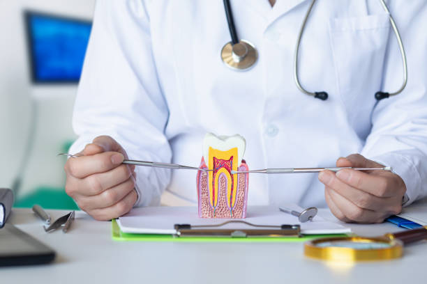 Best Broken or Cracked Tooth Emergency Dentist in Knightsen, CA